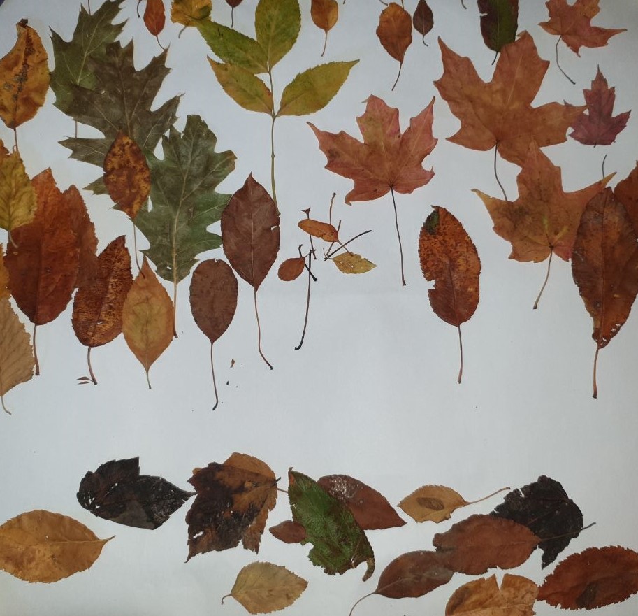 Background pattern Description automatically generated