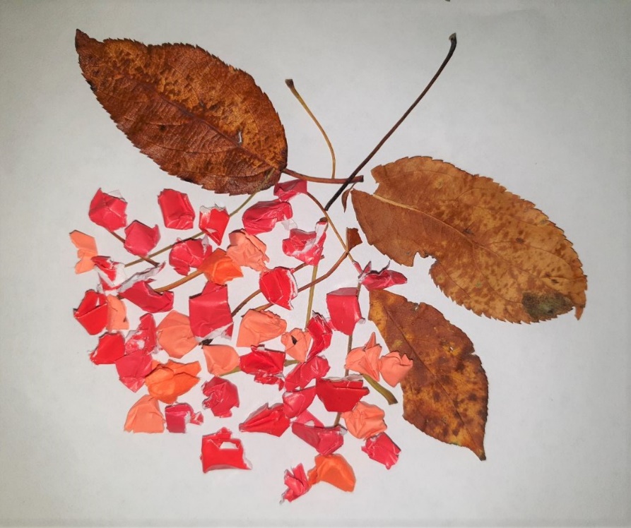 A picture containing dish Description automatically generated