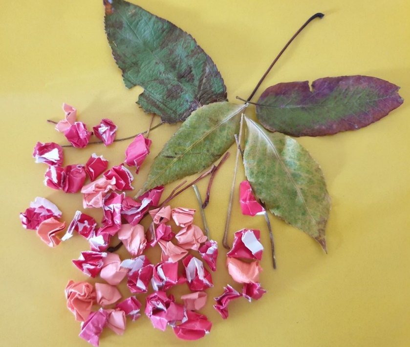 A picture containing plant Description automatically generated
