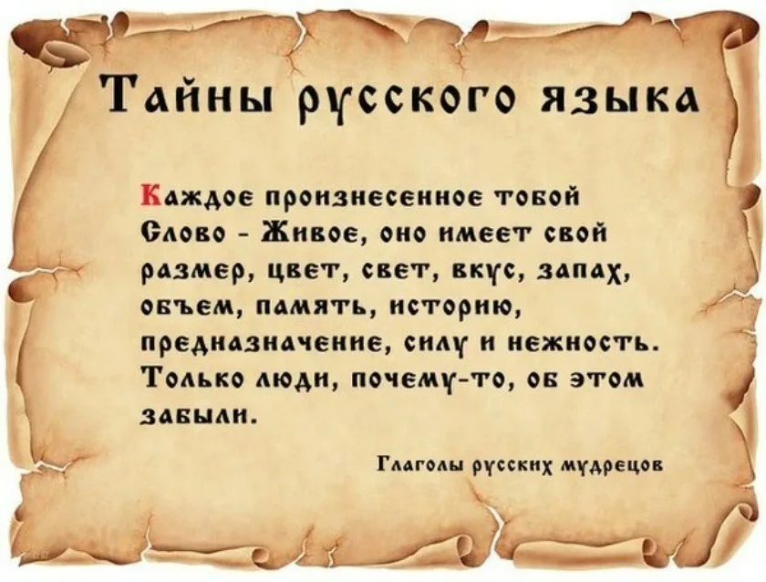 Text, letter Description automatically generated